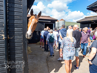 PN210822-150 - Paul Nicholls Stable Visit